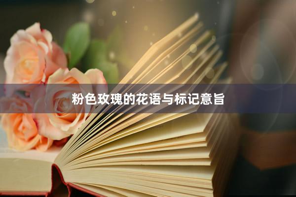 粉色玫瑰的花语与标记意旨