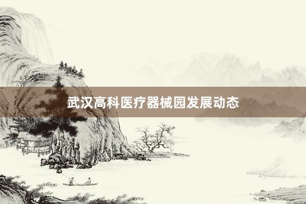 武汉高科医疗器械园发展动态
