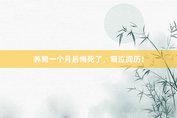 养狗一个月后悔死了，啜泣阅历！