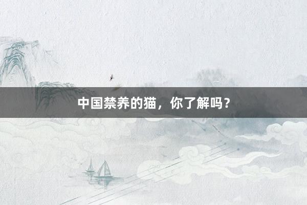中国禁养的猫，你了解吗？